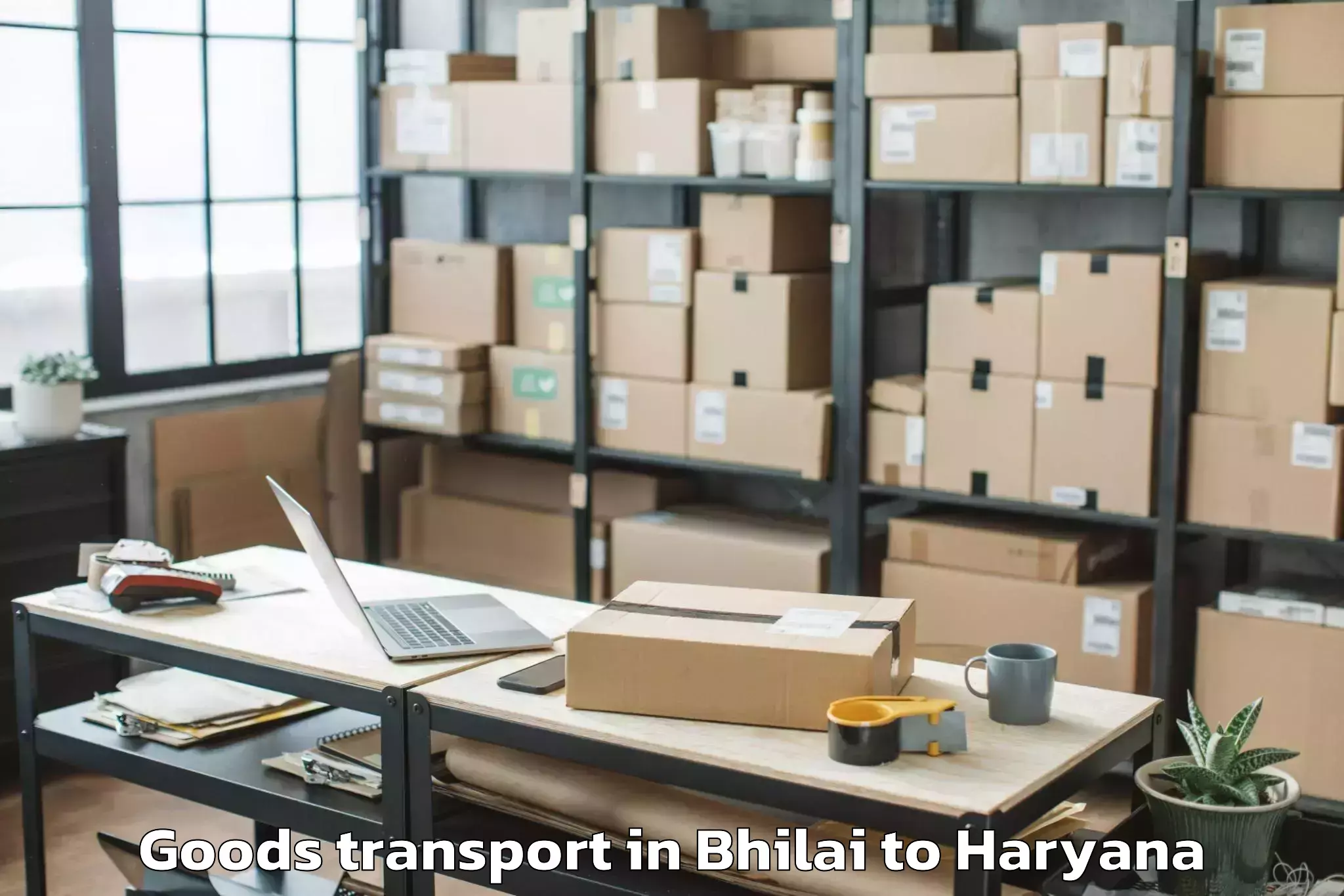 Easy Bhilai to Hathin Goods Transport Booking